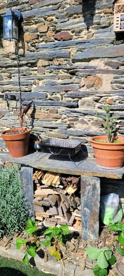 Le 6 Bis Avec Jardinet Lägenhet Guéméné-Penfao Exteriör bild